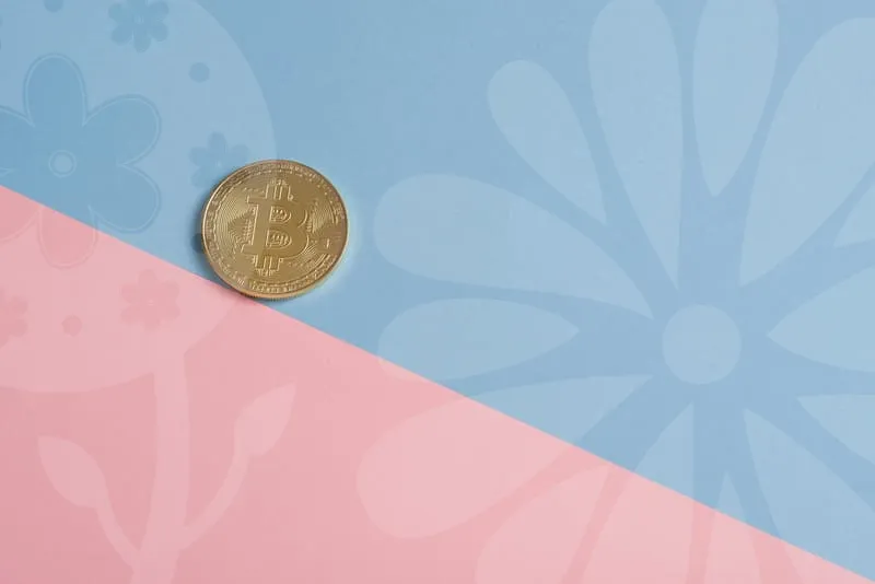 건설산업기본법