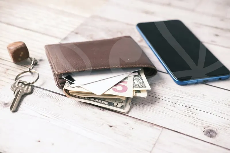 정부지원개인사업자대출