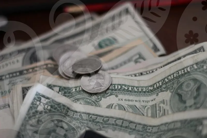 기업신용대출의 정부지원 구조와 실제 혜택 탐구 현황