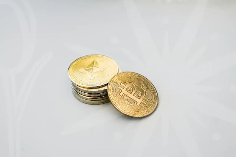 웹디자이너