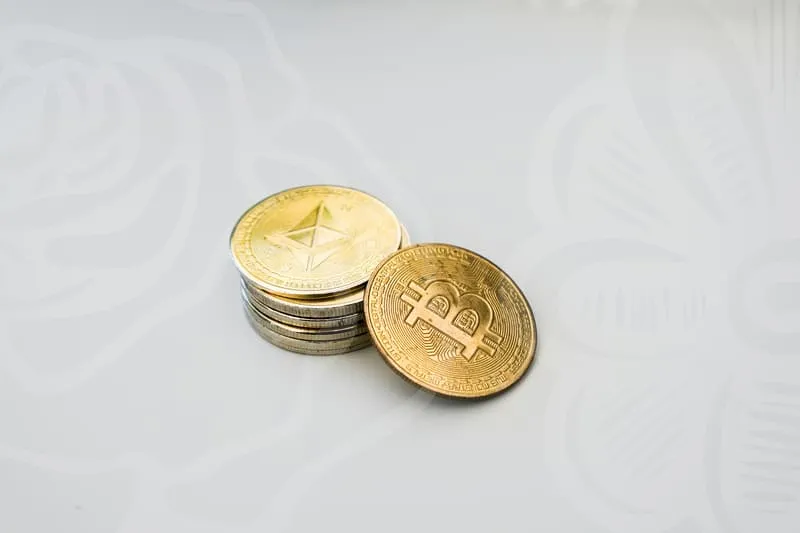 국비지원취업