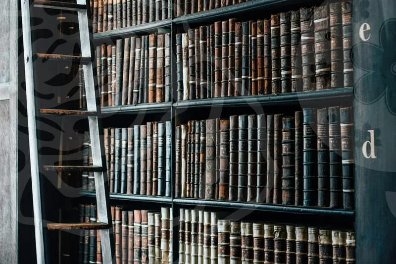 개인회생면책신청서