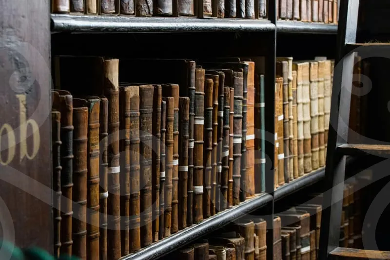 개인회생신용회복