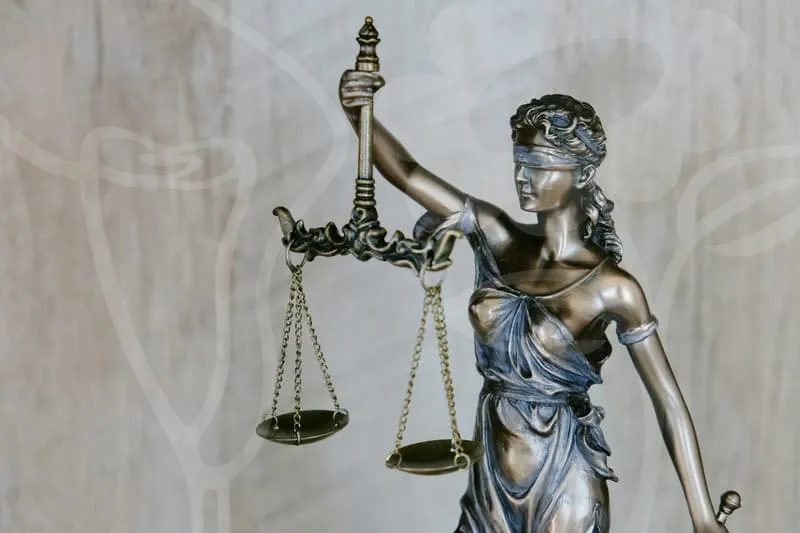 차용증법적효력