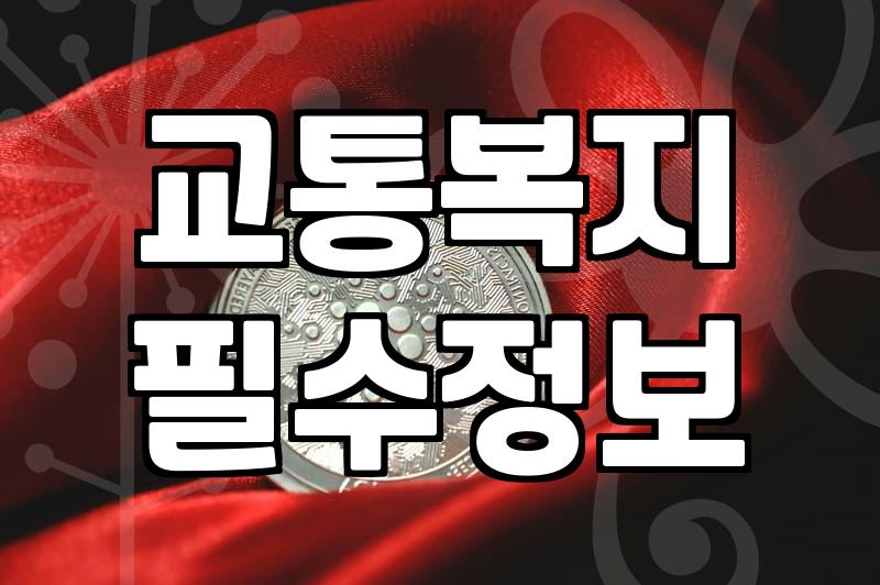 지하철 무임승차 나이 얘기가 나올 때마다 드는 생각