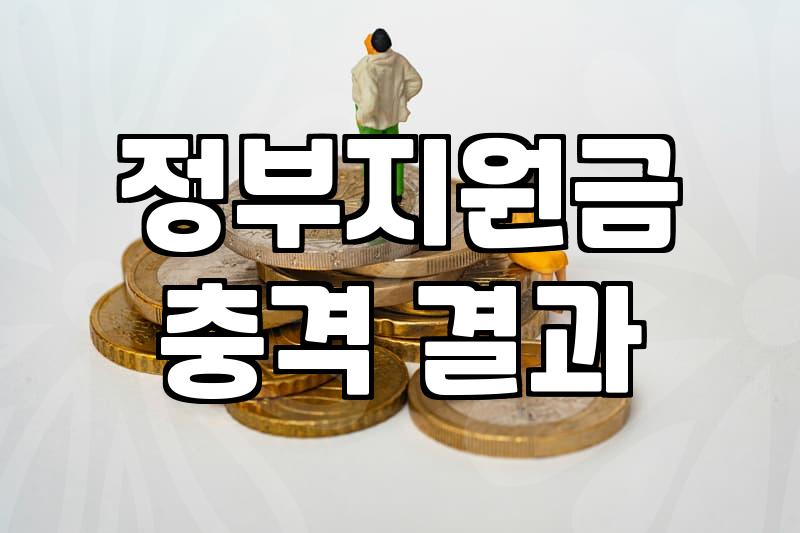 보조금 신청 자격과 지급 시기 확인하는 방법