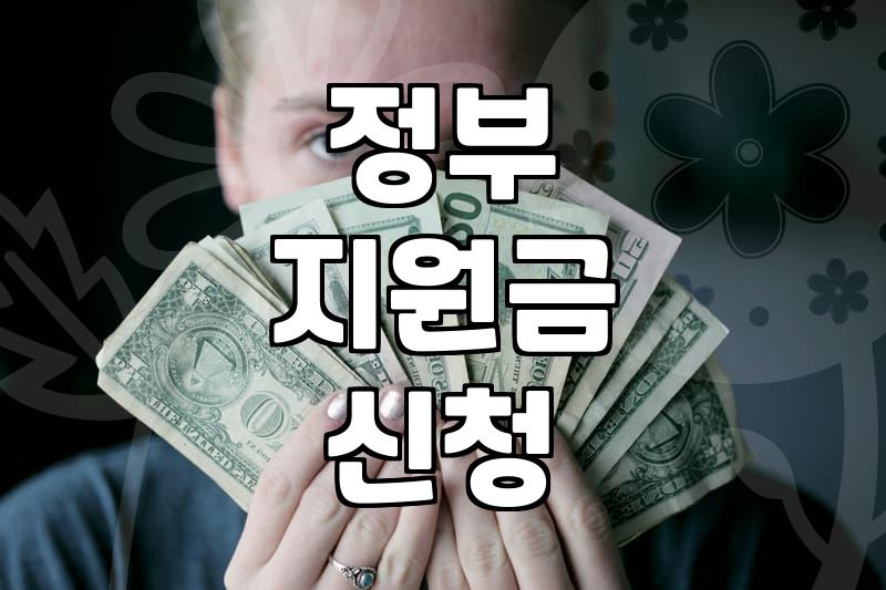 정부 보조금 찾아보고 신청할 때 꼭 챙겨야 할 몇 가지