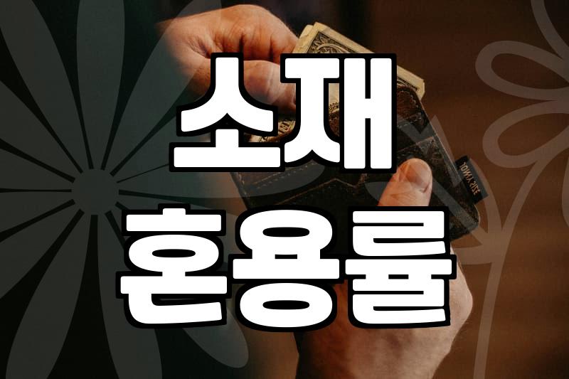실패 없는 여성쇼핑몰 선택을 위한 쇼핑 호스트의 현실적인 안목