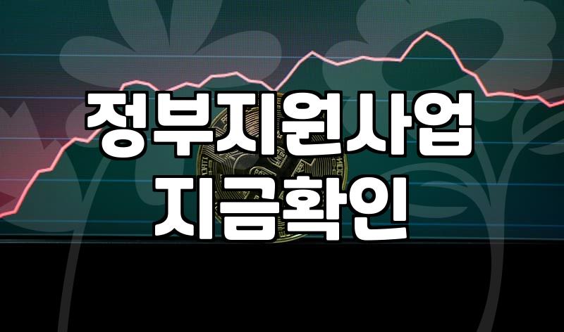 국가보조금 신청 전 반드시 확인해야 할 자격 요건과 실무 절차