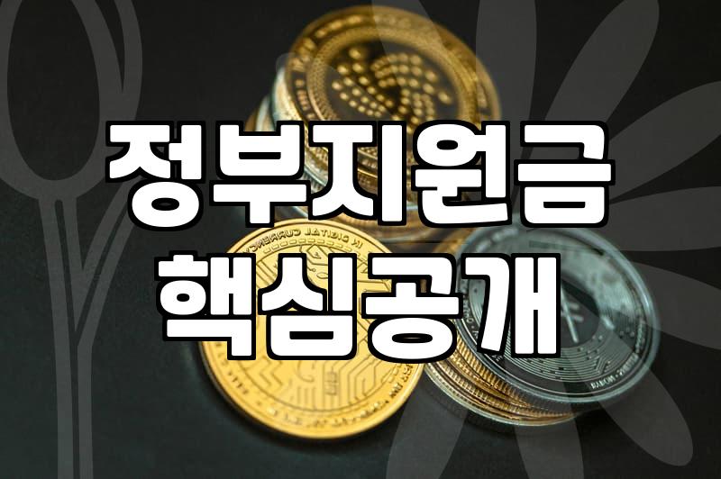 보조금, 엑셀 시트와 현실 사이에서 고민하는 당신에게
