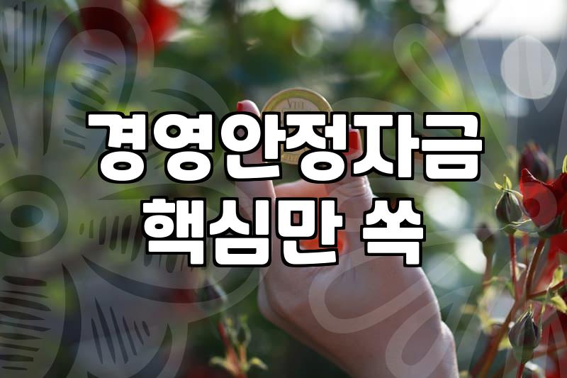 소상공인정부지원금 신청 자격과 실질 지원 금액 기준