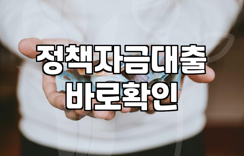 중소기업 신용대출, 이것만은 꼭 확인하세요