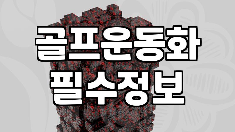 필드와 파크골프장 모두 고려한 스파이크 골프화 선택 기준