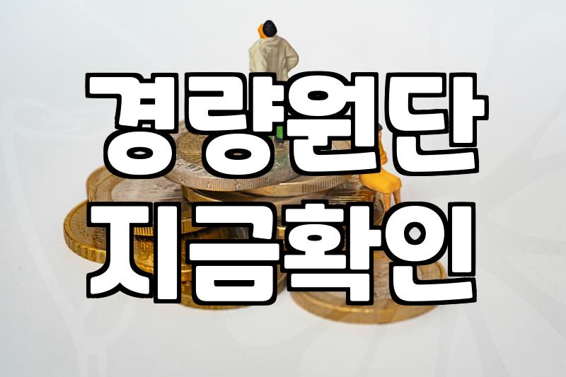 유행만 따르다 실패하는 여름바람막이자켓 쇼핑할 때 꼭 확인해야 할 조건