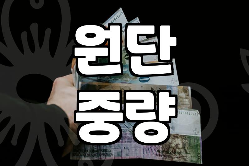 매일 손이 가는 탄탄한 후드티추천 고르는 기준 세 가지