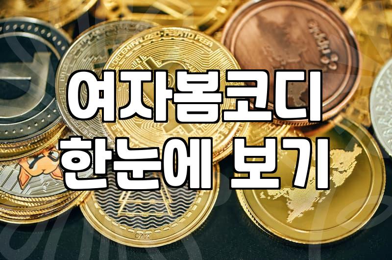 바람막이여성 제품 선택 시 고려해야 할 기능과 스타일