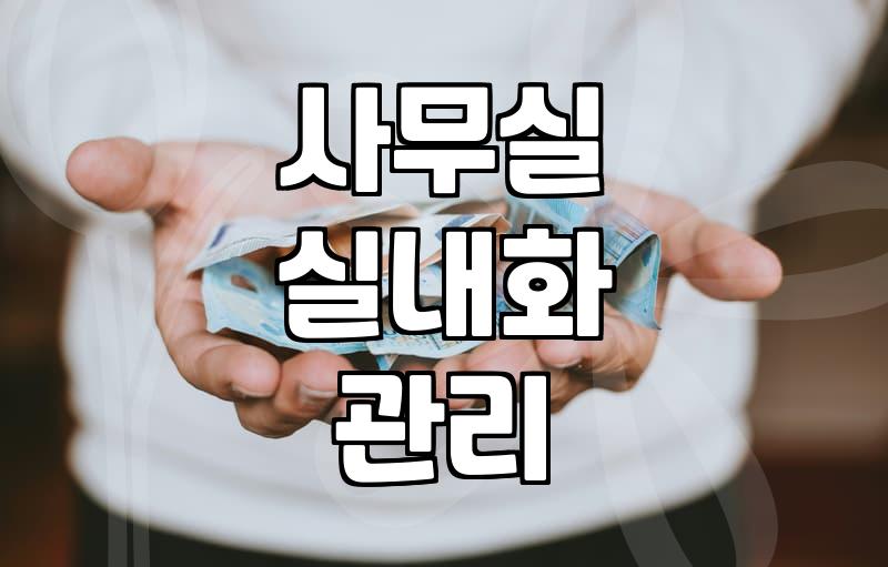 털실내화, 사고 나서 후회하기 전에 알아야 할 몇 가지 사실들