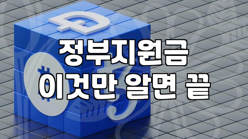 보조금 지원사업의 숨겨진 비용, 직접 겪어본 현실적 조언