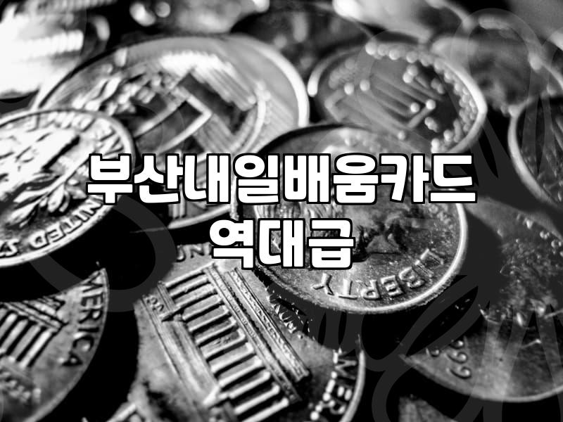 서면까지 오토캐드 배우러 다니다가 카드 발급에서 막혔던 날들