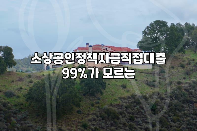 소상공인정부지원 신청 시 반드시 확인해야 할 대출 금리와 조건