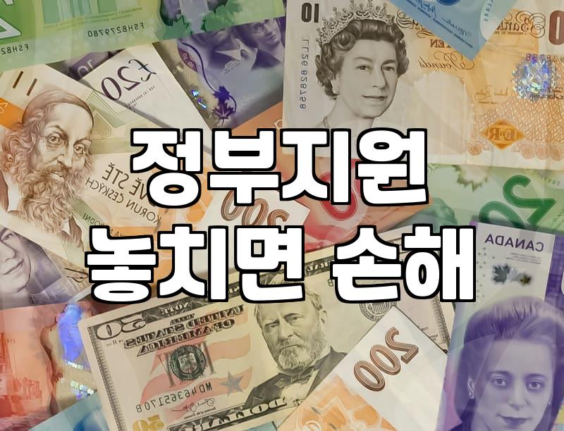 보조금, 무작정 쫓기보다 따져봐야 할 현실적인 고민들