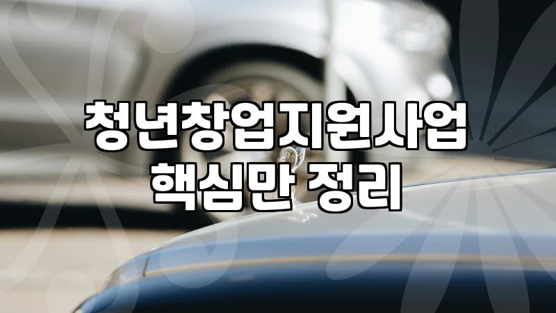 청년정부지원금 종류별 신청 요건과 실제 수령 기간