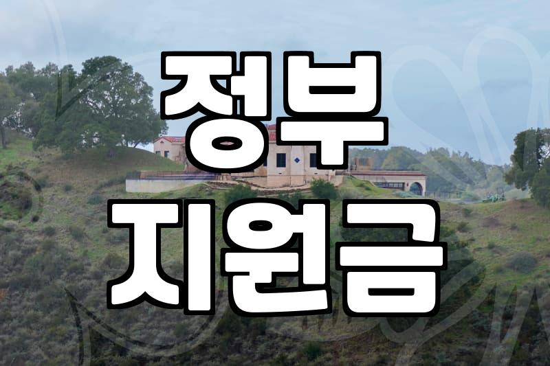 놓치면 후회할 국비 보조금, 신청 전 꼭 확인하세요