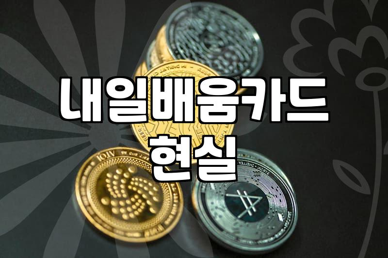 국비지원, 30대 직장인이 솔직히 말하는 ‘진짜’ 활용법