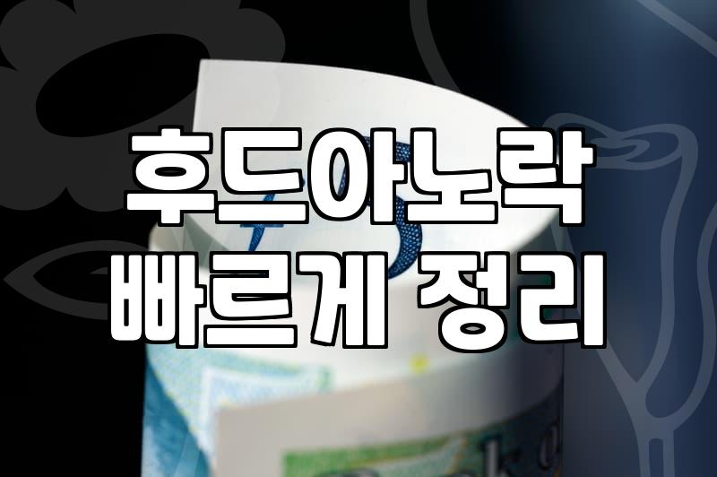여름철 가볍게 걸치기 좋은 후드 아노락과 바람막이 고르는 요령