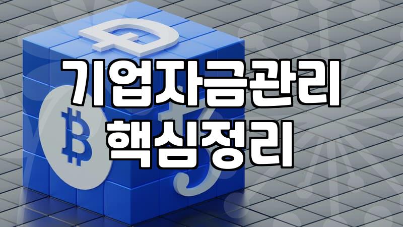 법인 운영 중 마주하는 자금 조달 현실과 고려할 점들