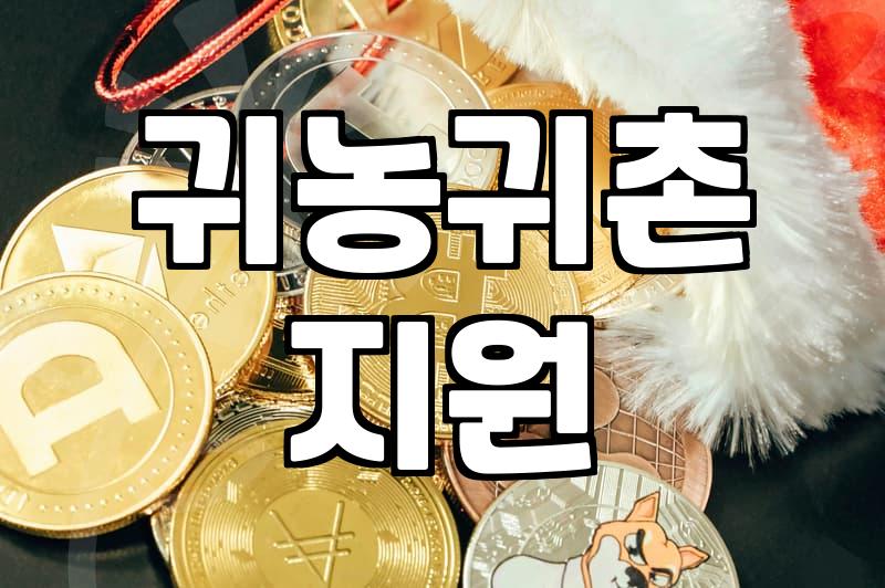지자체 복지 정책과 귀농귀촌, 서류 너머의 현실에 대하여