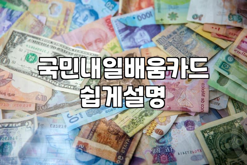 정책 지원금으로 파이썬 국비 교육 받는 법