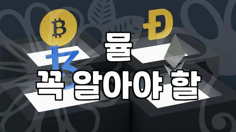 30대 여성을 위한 여름 신발, 실패 없는 선택 가이드