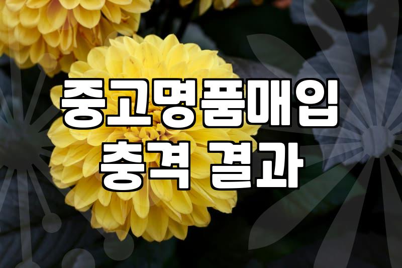 내 명품반지, 제값 받고 팔려면 어떻게 해야 할까?
