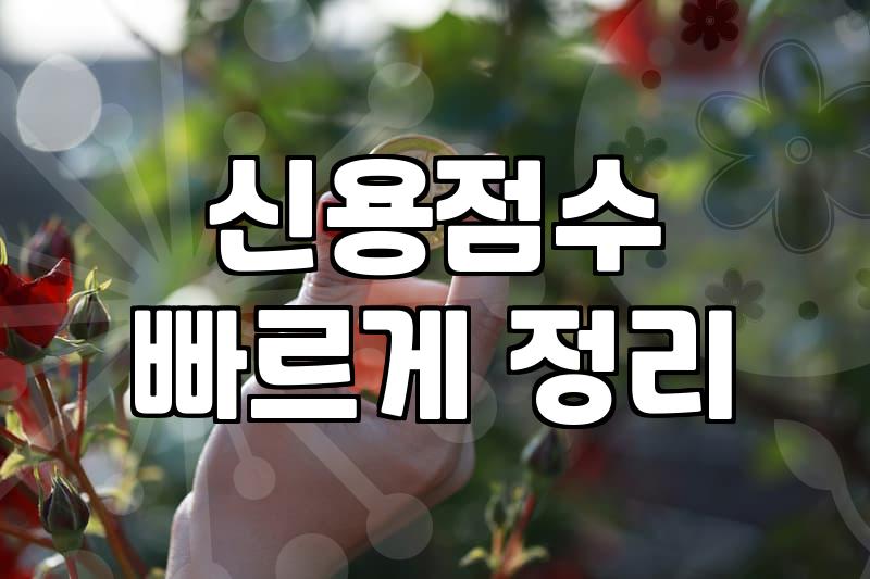 유망중소기업으로 선정되기 위해 반드시 확인해야 할 자격 요건과 실무 가이드