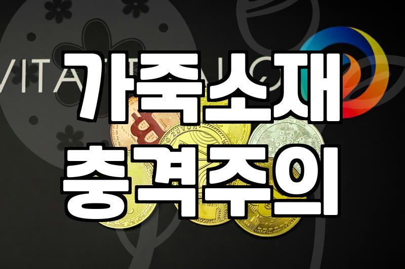 르메르 가죽자켓, 비싼 값 하는 이유와 현명한 선택법