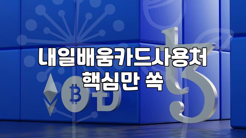 국비지원 내일배움카드로 무엇을 배울 수 있고 실제 활용은 어떻게 할까