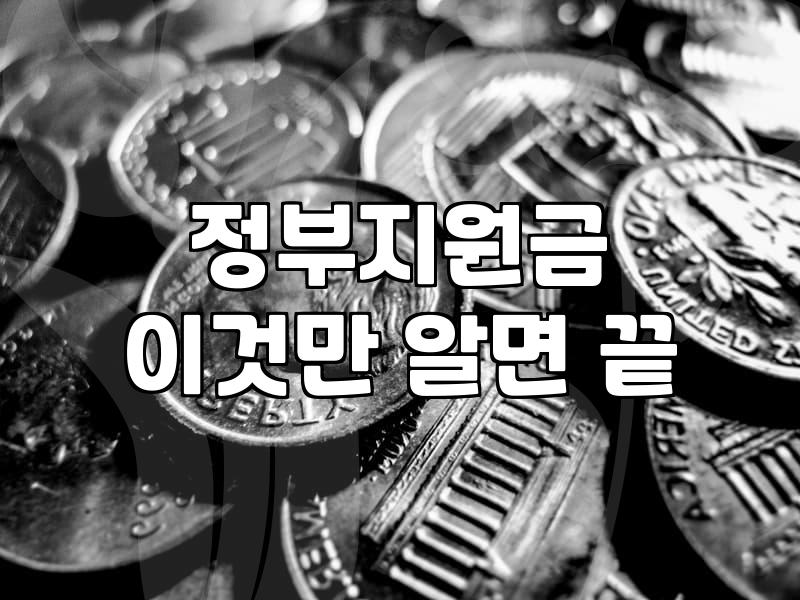 보조금 수령을 위해 알아야 할 신청 조건과 필수 준비사항