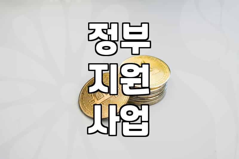 정부 보조금, 받기 전에 꼭 알아야 할 것들
