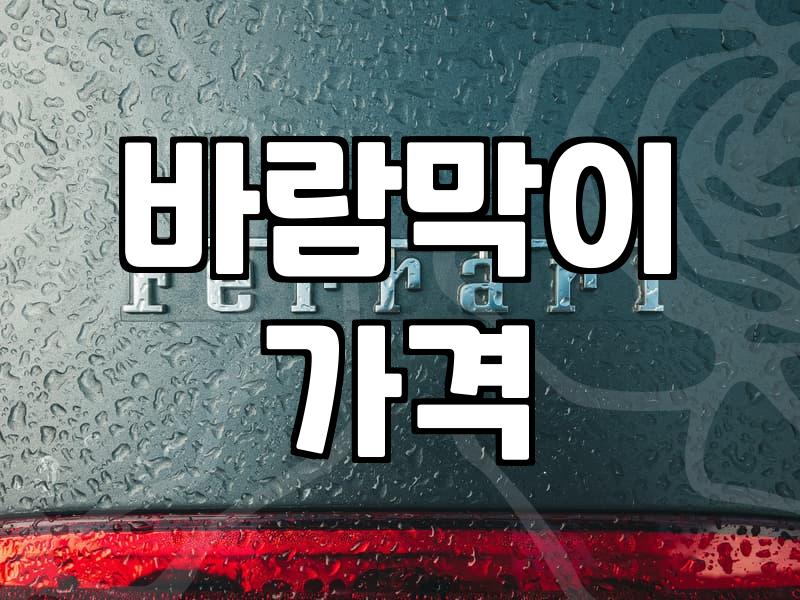갑자기 추워진 날씨에 꺼내 입은 얇은 바람막이 하나