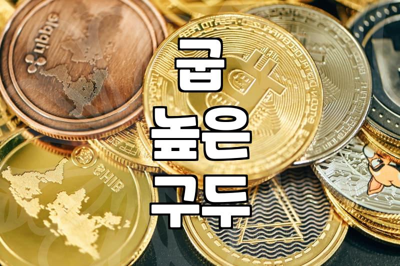 신었을 때 발 편한 하이힐, 디자인도 포기 못하겠다면?