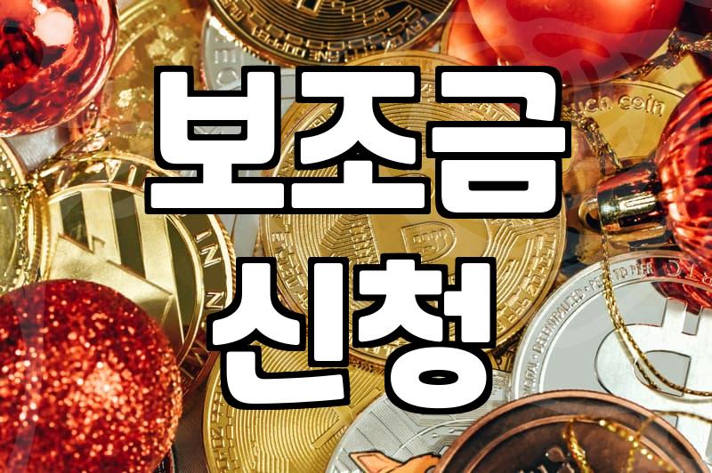 정부 보조금 신청 전 꼭 알아두어야 할 실무적인 점들