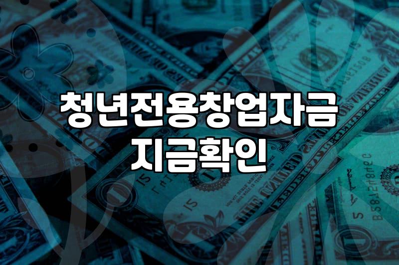 청년정부지원금 종류와 신청 전 반드시 확인해야 할 조건