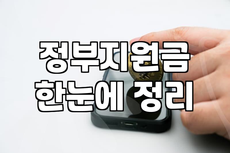 정부 보조금 사업을 꼼꼼히 확인하고 챙기는 현실적인 방법