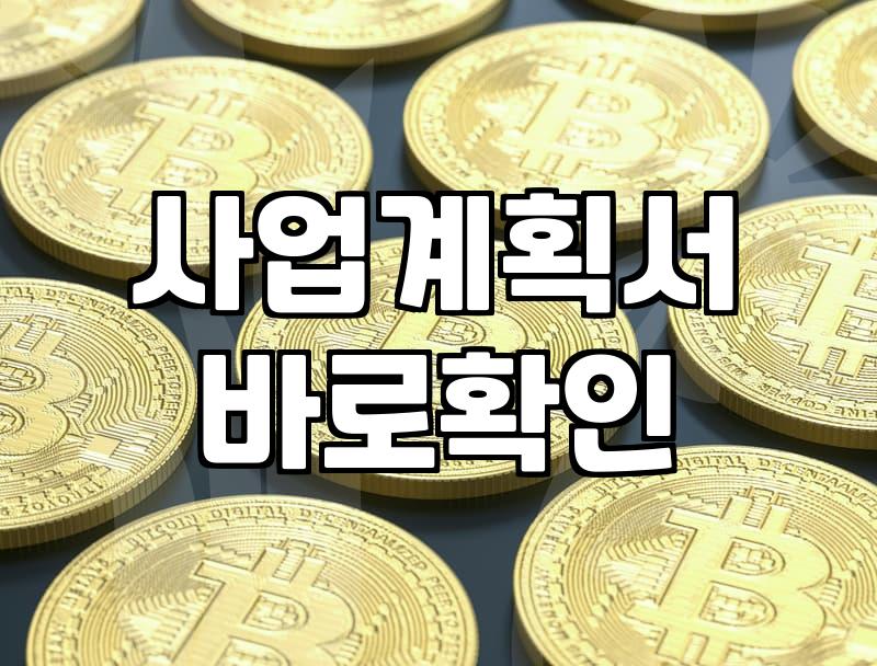 정부 보조금 신청 전 반드시 확인해야 할 실무적 체크리스트