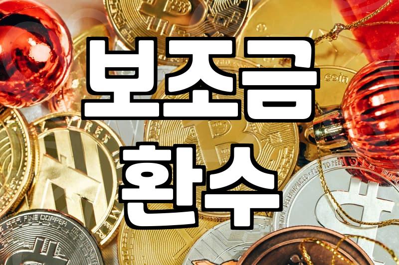 국가 보조금의 작동 방식과 현실적인 한계점들