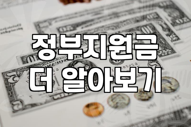 복지지원 제도 신청 자격과 실질적인 선정 기준