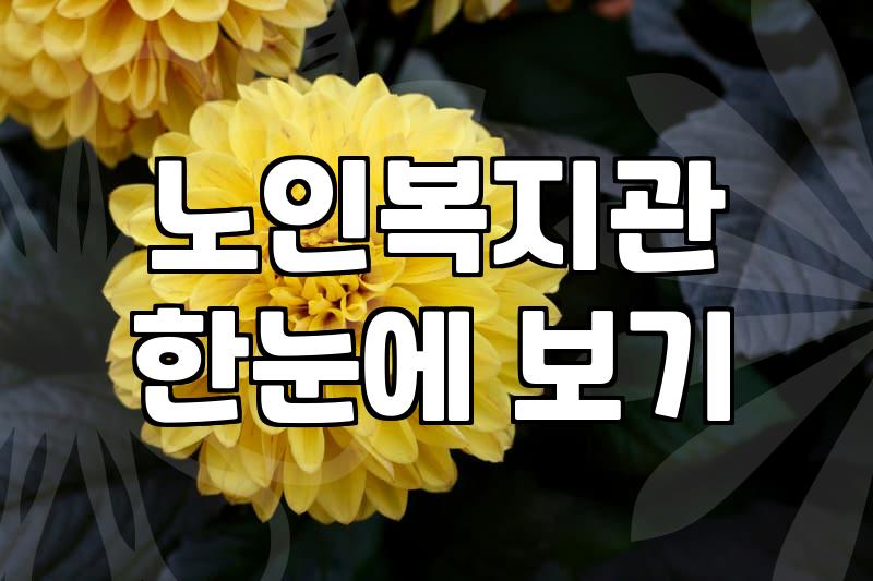 요즘 복지관 프로그램 찾다가 든 생각들