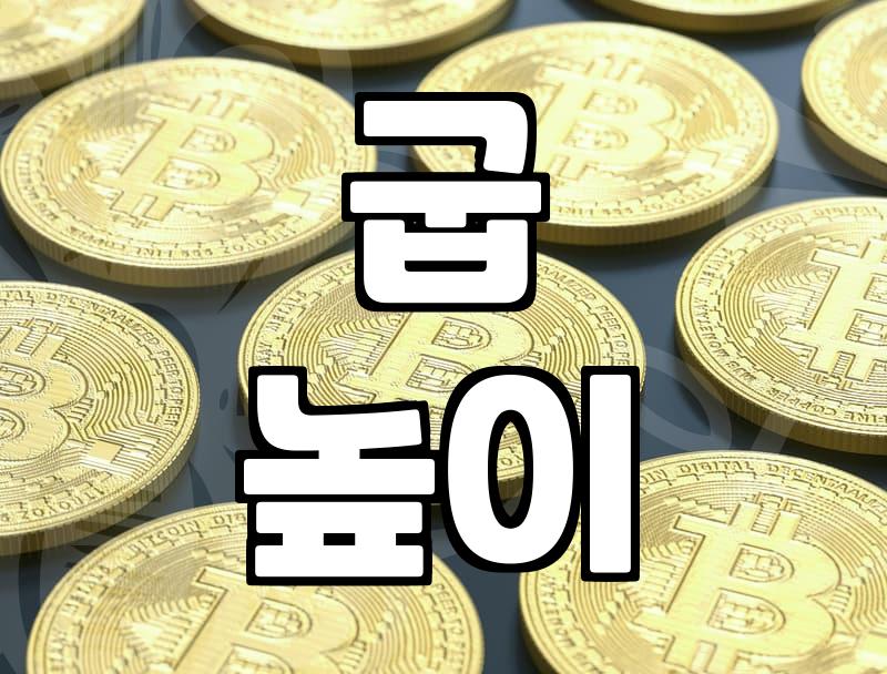 만족도 높은 가보시 선택, 나에게 딱 맞는 굽 높이는?