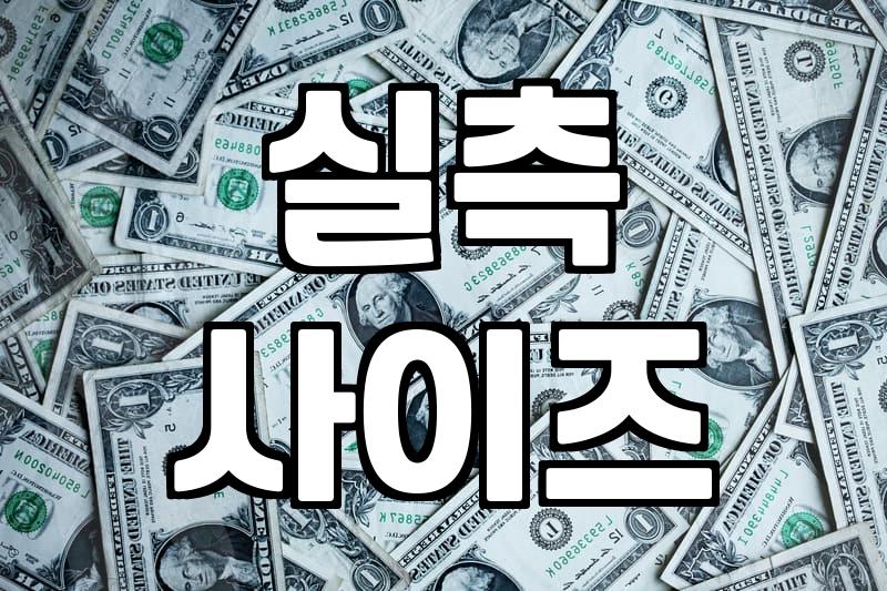 성공적인 여성쇼핑몰 이용을 위한 실전 의류 선택 기준